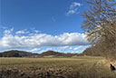 Hohlestein