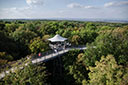 Eisenach / Heimatliebe / Nationalpark Hainich / Baumkronenpfad