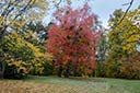 Bergpark auf der Suche nach dem Taschentuchbaum