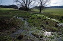 am Teich Wilhelmsthal