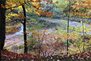 Habichtswald im Herbst