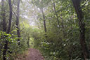Hohlestein