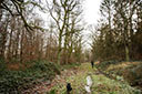 Reinhardswald, Naturparkreservat Weserhänge