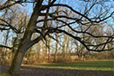 Bergpark