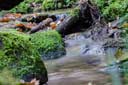 Lochbachklamm Wallenstein im Knüll