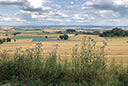 Odenberg bei Gudensberg