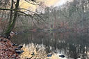 Habichtswald