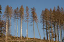 Gläsnertal