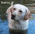 Benny