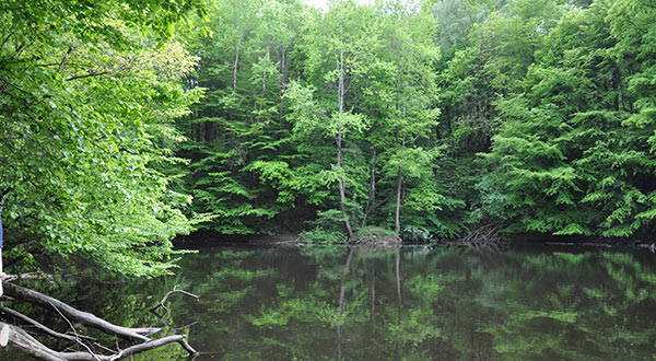 blauer See