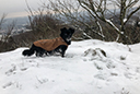 4 Tage Dörnberg bei Schnee