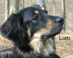 Lotti
