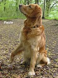 Paula