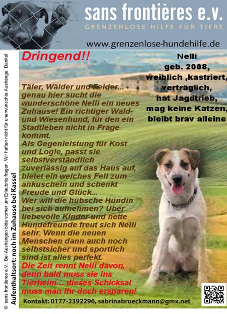 Nelli sucht bis 15.12.2013 einen Platz