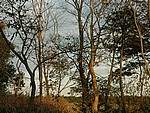 DSC_6200.jpg