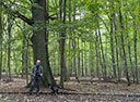Sch&auml;ferberg - Stauffenberg