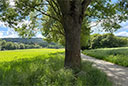 Prinzenquelle