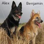 Benjamin und Alex