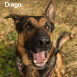 Diego