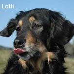 Lotti