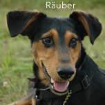 Räuber