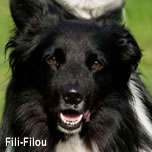 Fili-Filou