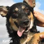 Kimba