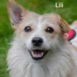 Lili