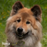 Ronja